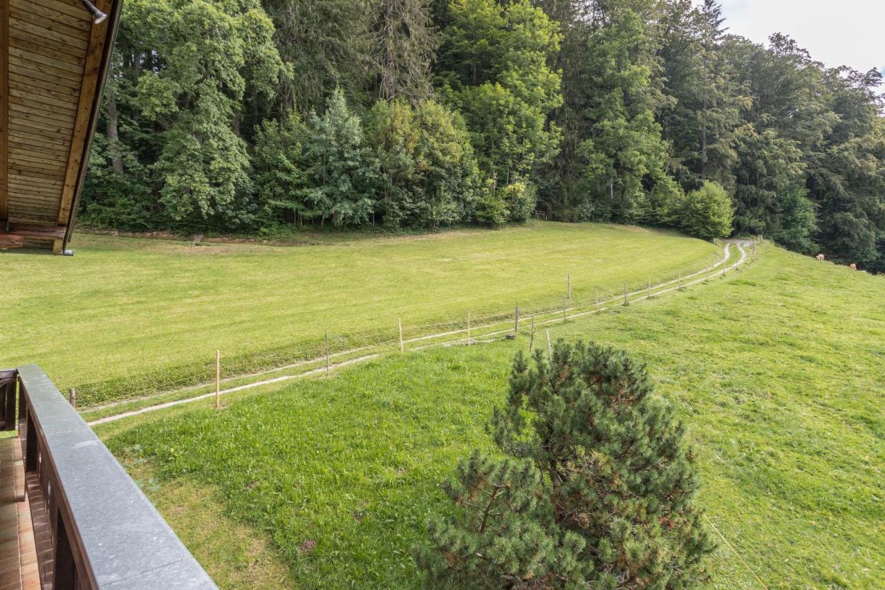 Ferienwohnung Oberrisstraum Шлирзее Екстериор снимка